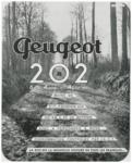 Peugeot 1938 28.jpg